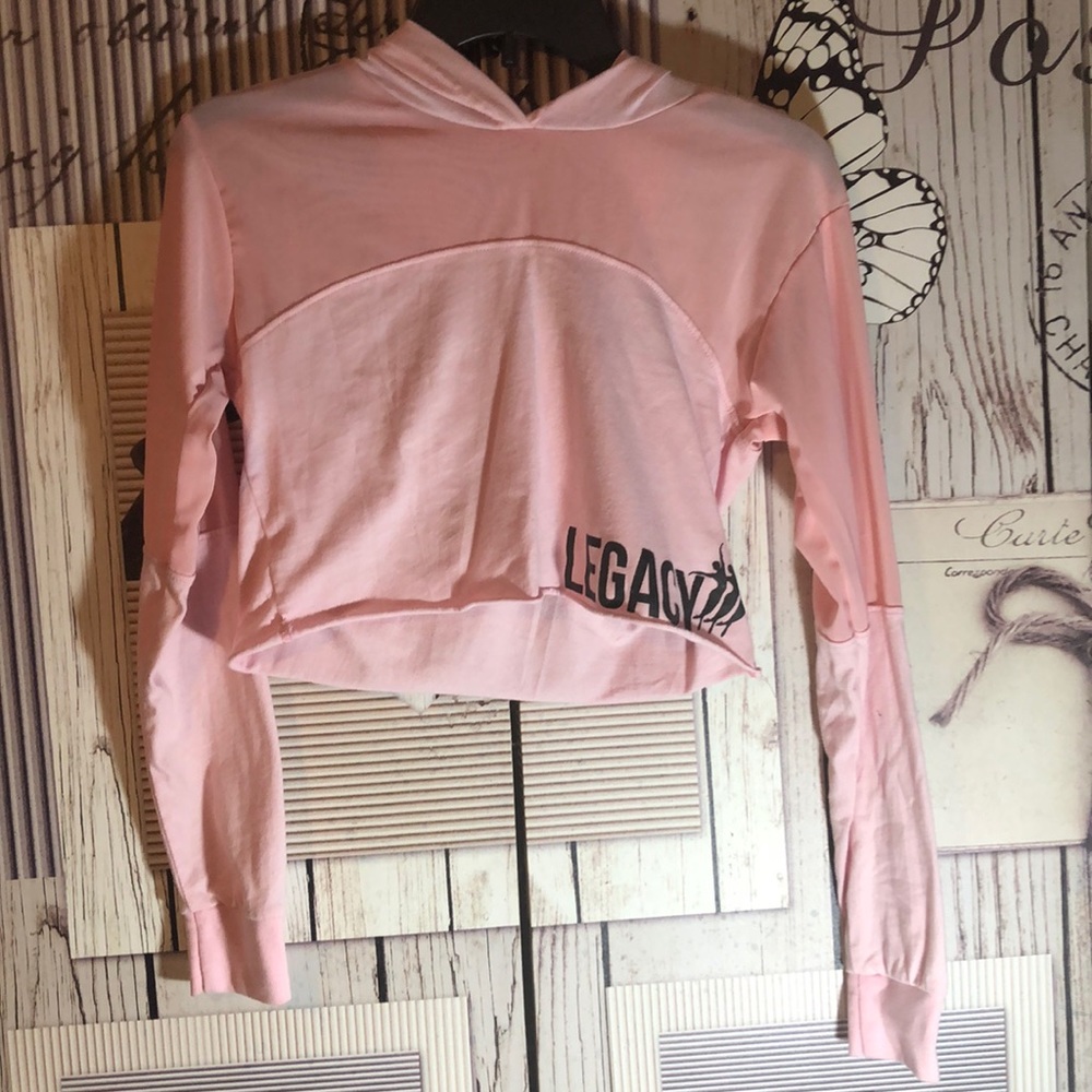 Legacy Mesh cropped hoodie